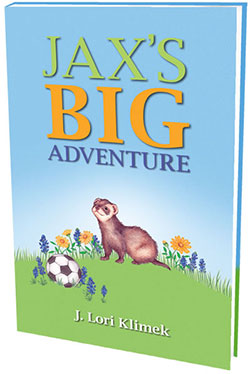 Jax's Big Adventure Book